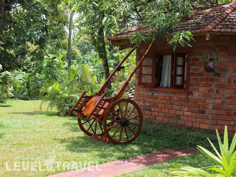 Фотография Peacock Ayurveda Garden