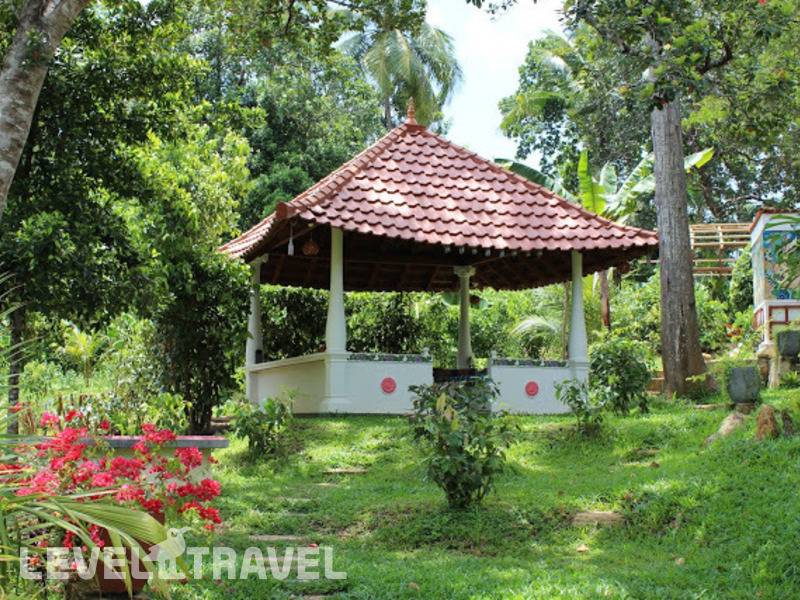 Фотография Peacock Ayurveda Garden