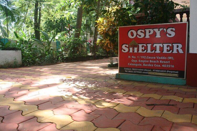 Ospys Shelter Guesthouse