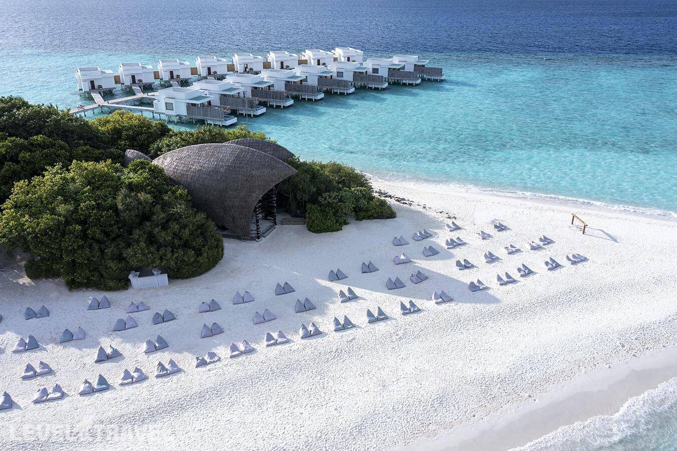 Niva Dhigali Maldives — фото 6