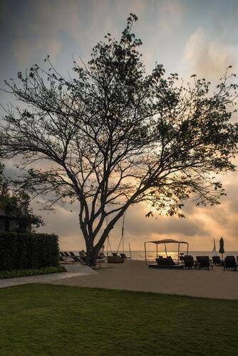 So Sofitel Hua Hin