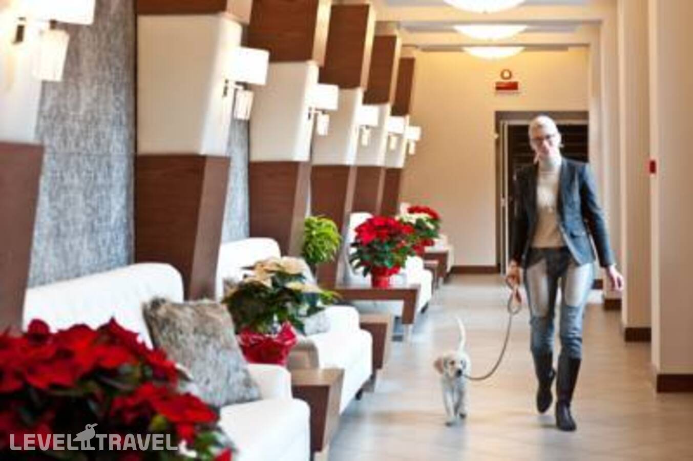 Изображение отеля 29