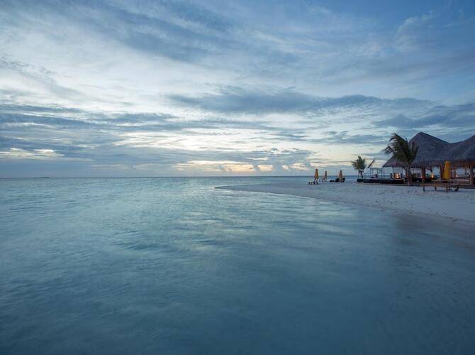 Drift Thelu Veliga Retreat (Adults Only 12+)