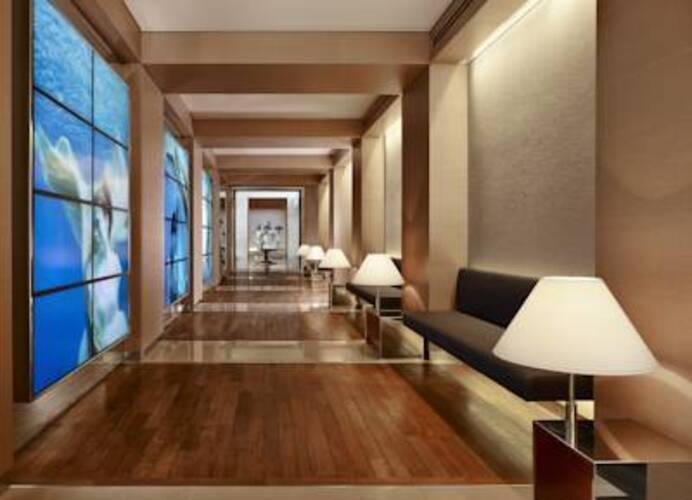 The Ritz Carlton Hotel