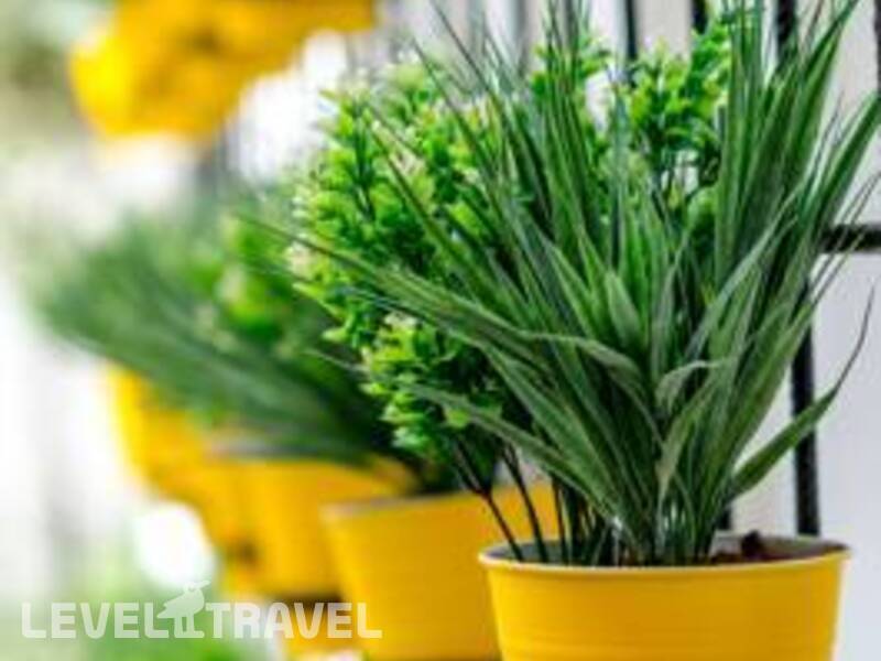 Фотография The White House Фотография The White House