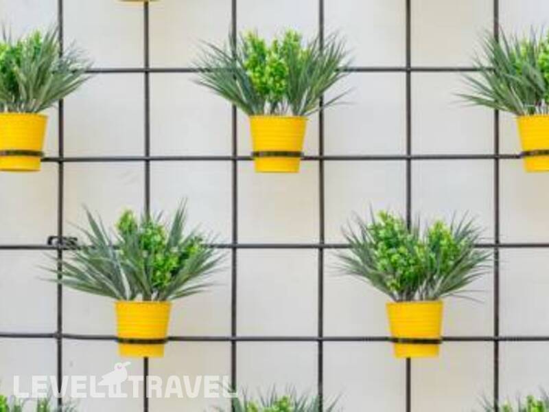 Фотография The White House