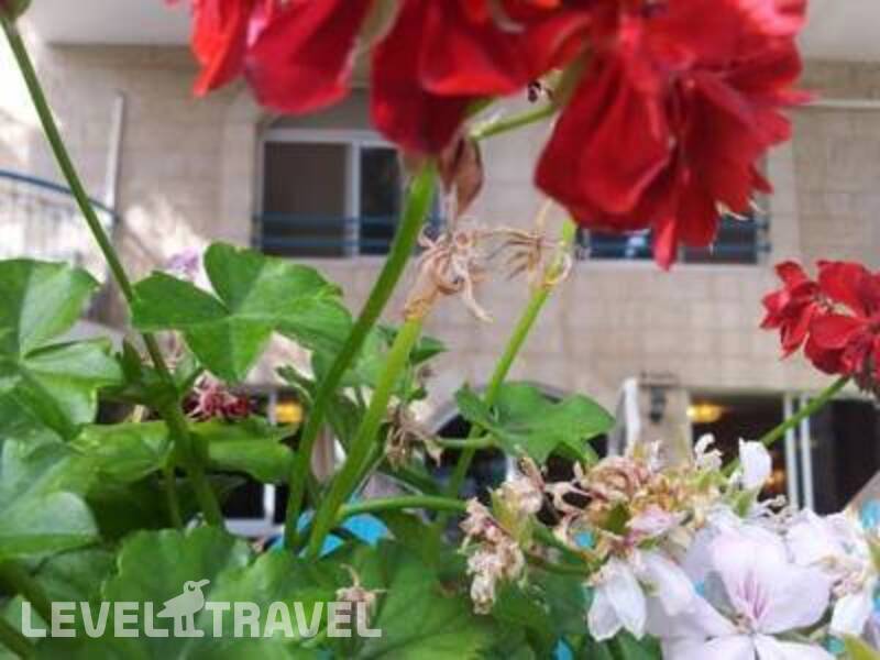 Фотография Eden Jerusalem Hotel Фотография Eden Jerusalem Hotel