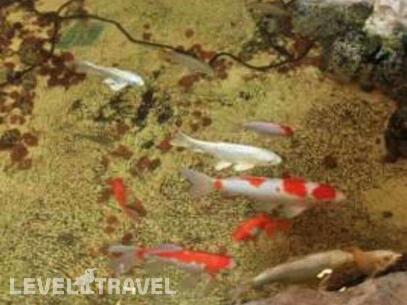 Фотография Emilys Hotel