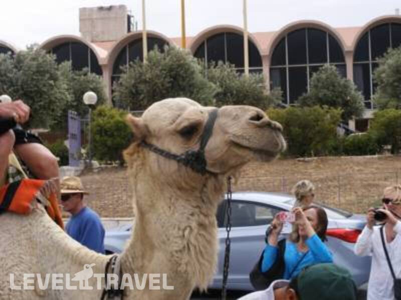 Фотография Seven Arches Hotel Фотография Seven Arches Hotel