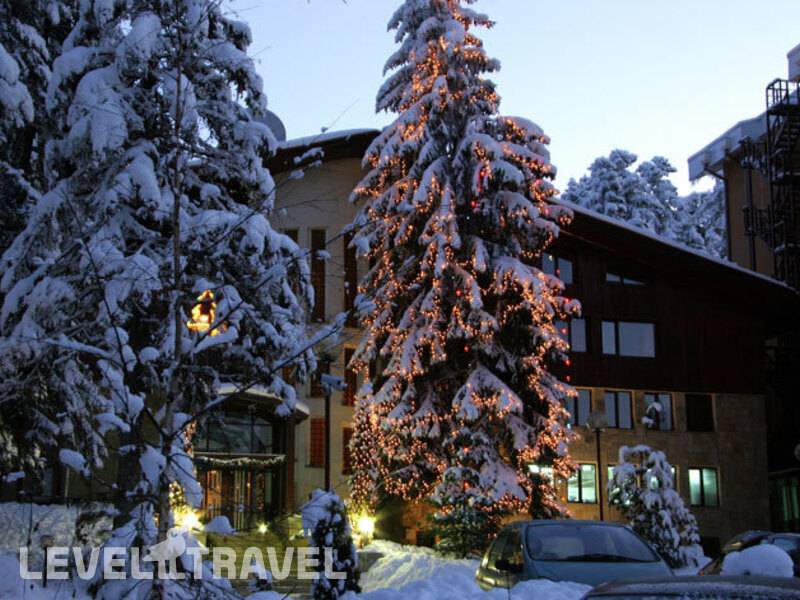 Фотография Flora