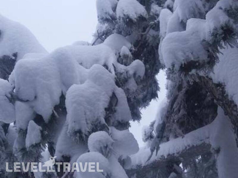 Фотография Troodos Hotel