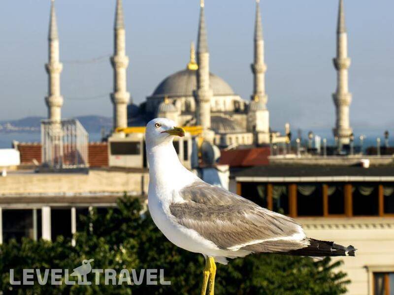 Фотография Nowy Efendi Hotel