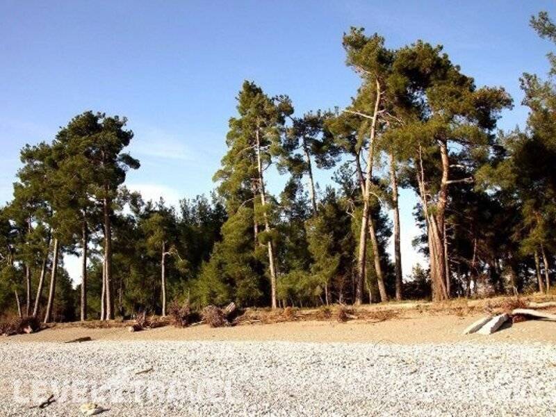 Фотография Санта-София Отель