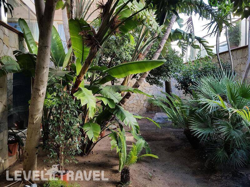 Фотография Nordeste Playa Hotel