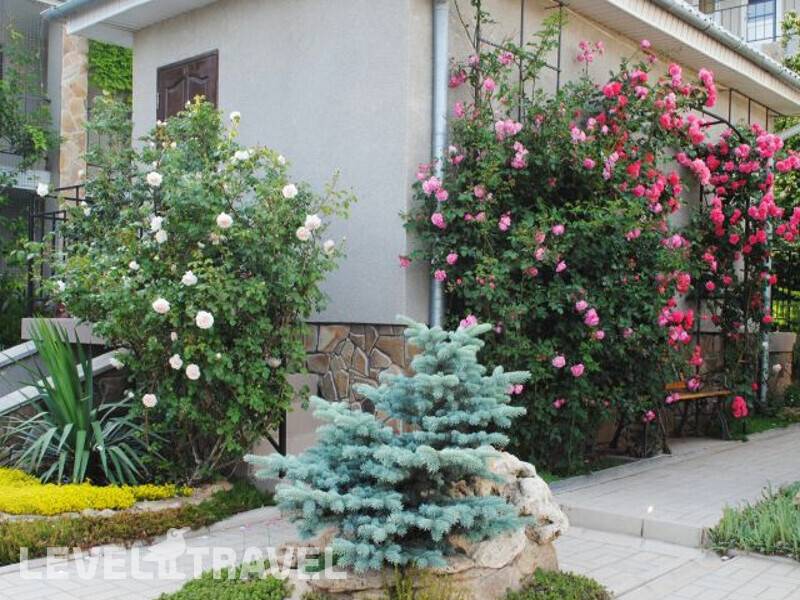 Фотография Пансионат Лагуна Фотография Пансионат Лагуна