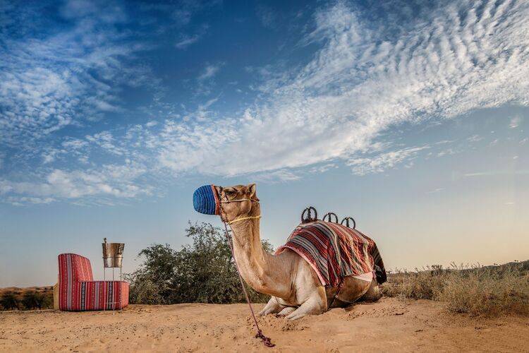 Al Wadi Desert Ras Al Khaimah
