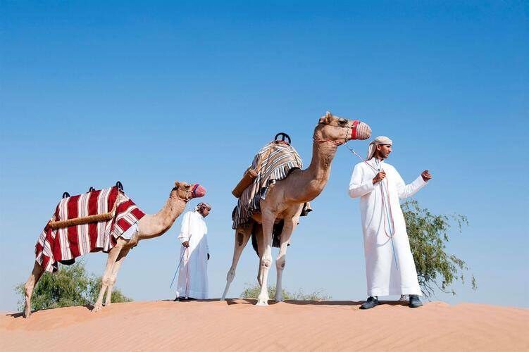 Al Wadi Desert Ras Al Khaimah