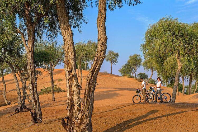 Al Wadi Desert Ras Al Khaimah