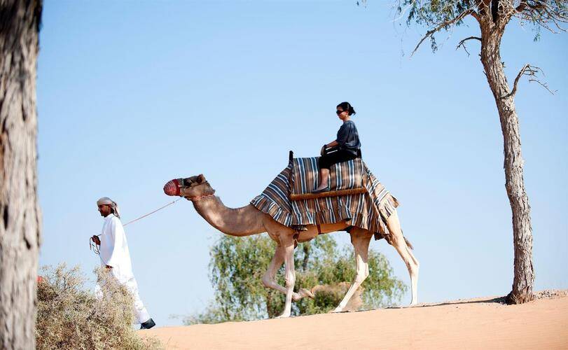 Al Wadi Desert Ras Al Khaimah