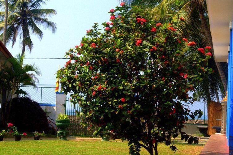 Shangrela Beach Resort