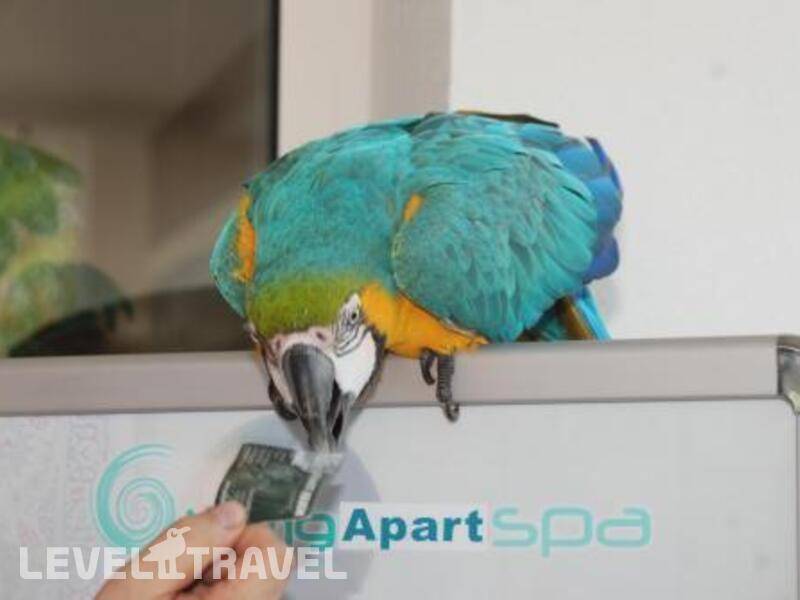 Фотография Viking Apart