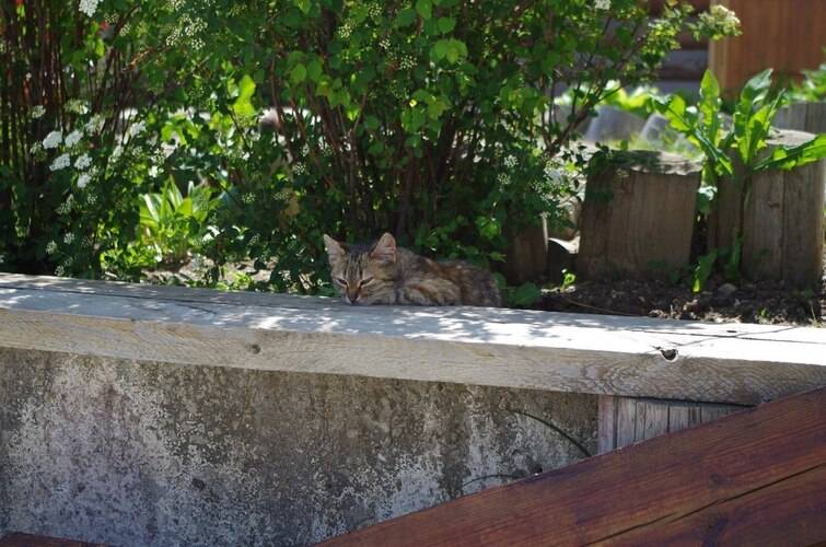 Гостевой Дом Самоцветы