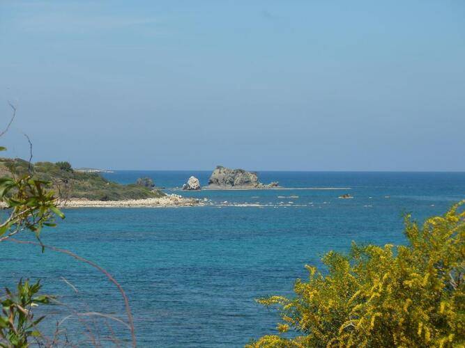 Aphrodite Beach Hotel