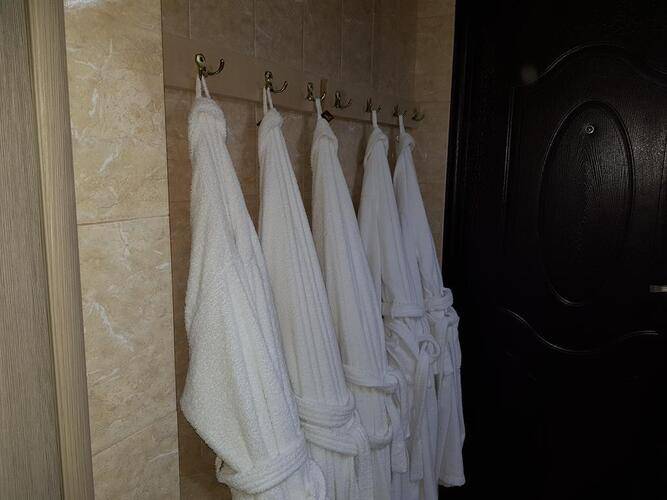 Отель Родина