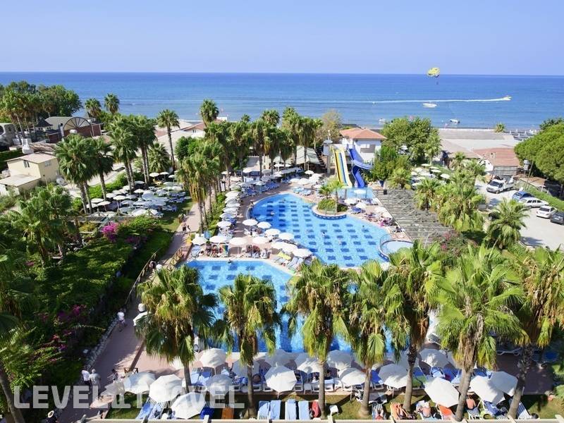 Фотография Trendy Palm Beach