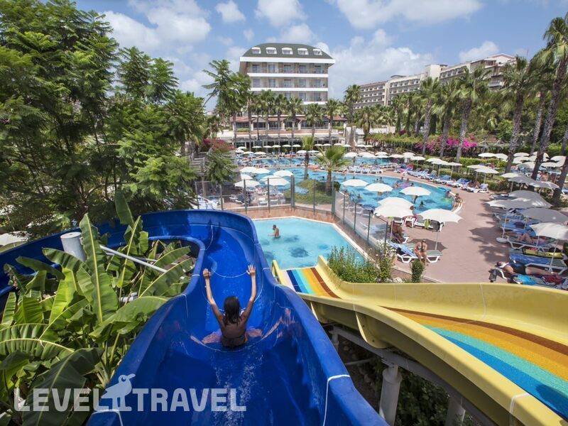 Фотография Trendy Palm Beach