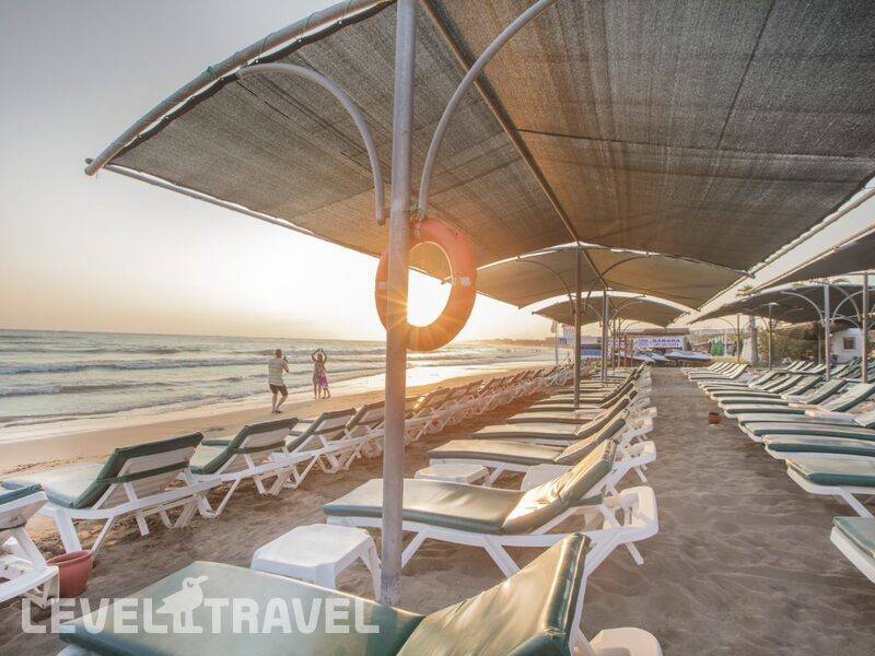 Фотография Trendy Palm Beach
