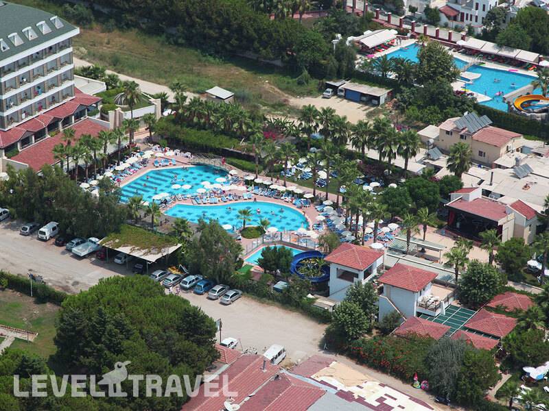 Фотография Trendy Palm Beach