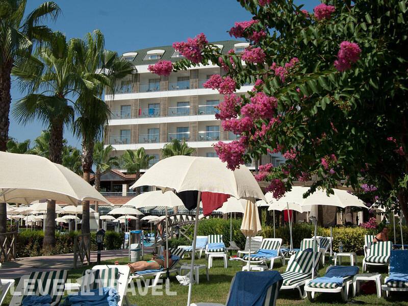 Фотография Trendy Palm Beach