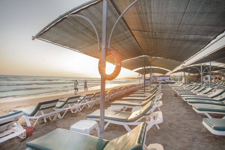 Trendy Palm Beach