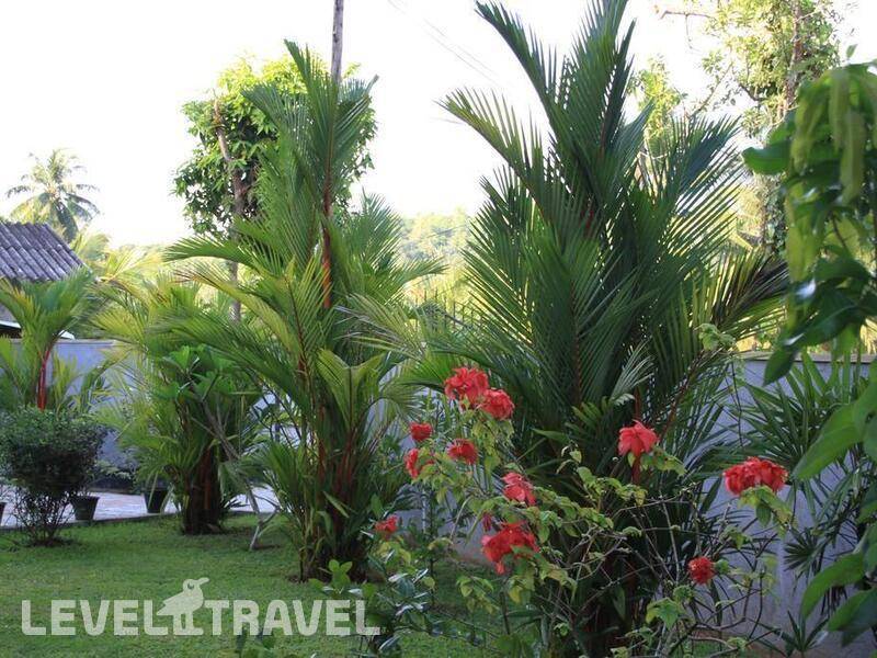 Фотография Coral Palm Villa & Apartment