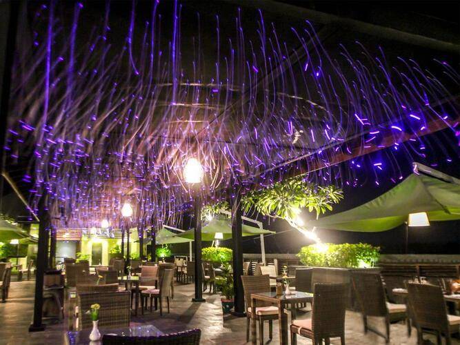 The Nest Bali