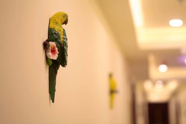 Care Hotel Coast Collection