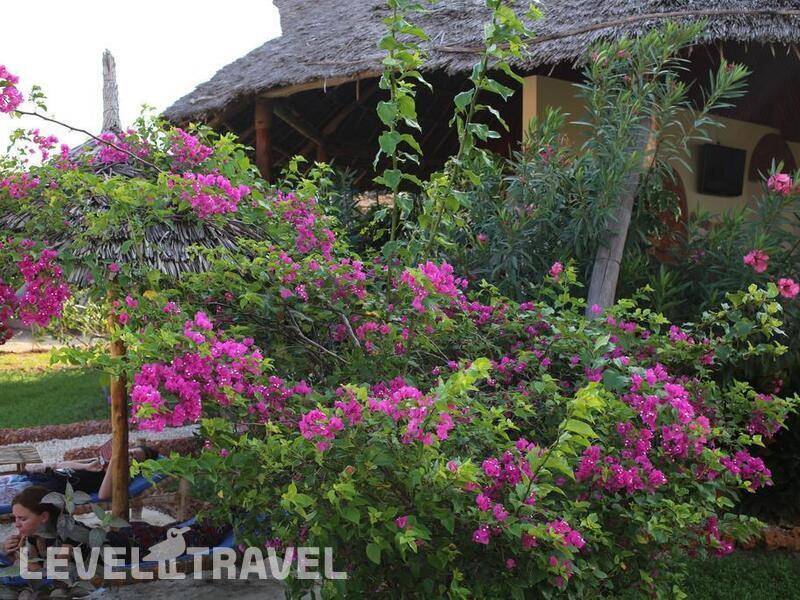 Фотография Zanzibar Star Resort