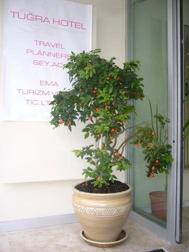 Tugra Hotel