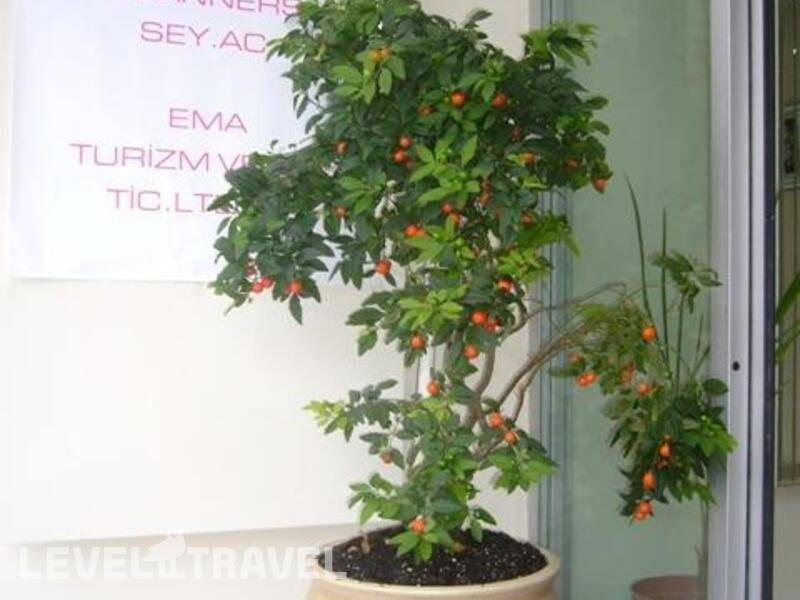 Фотография Tugra Hotel Фотография Tugra Hotel