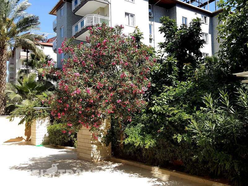 Фотография Carmen Suite Hotel