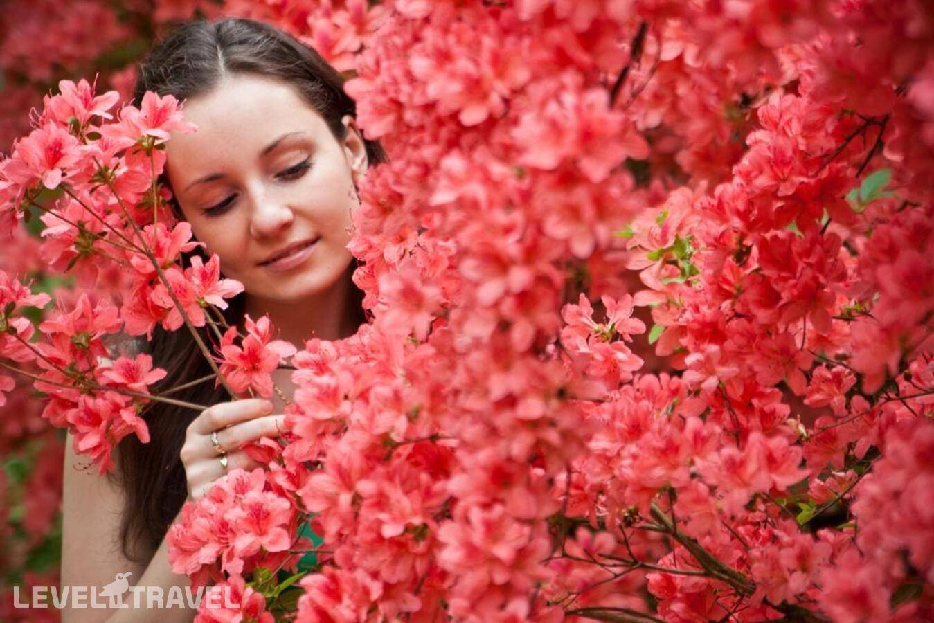 фотографии отеля Danubius Health Spa Resort Sarvar в Венгрия(Шарвар) - фото №20