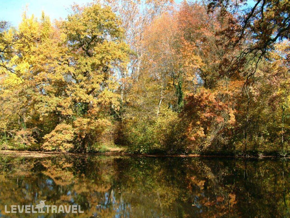 фотографии отеля Danubius Health Spa Resort Sarvar в Венгрия(Шарвар) - фото №23