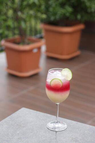 Pushkin Hotel