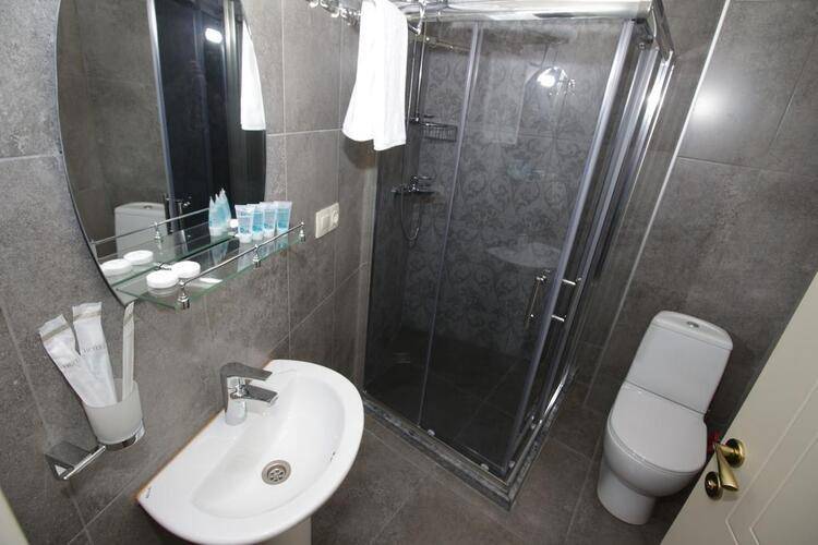 Pushkin Hotel