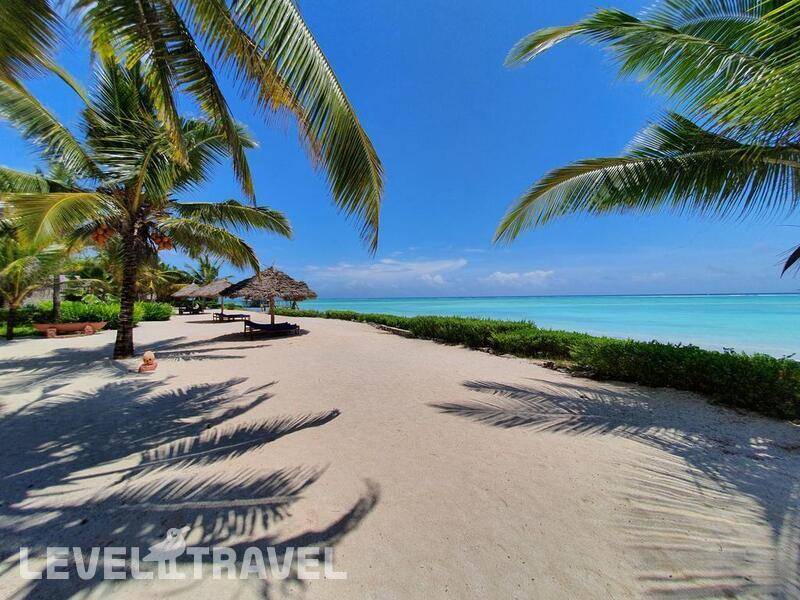 Фотография The Zanzibari