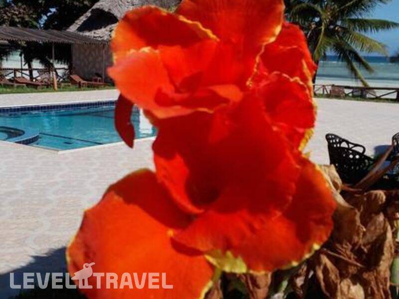 Фотография Swahili Beach Resort