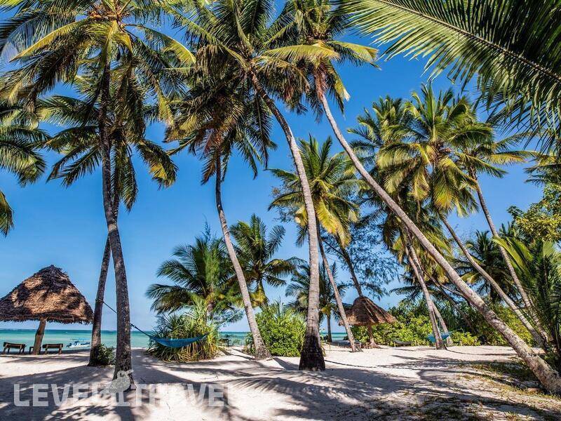 Фотография Pongwe Beach Hotel