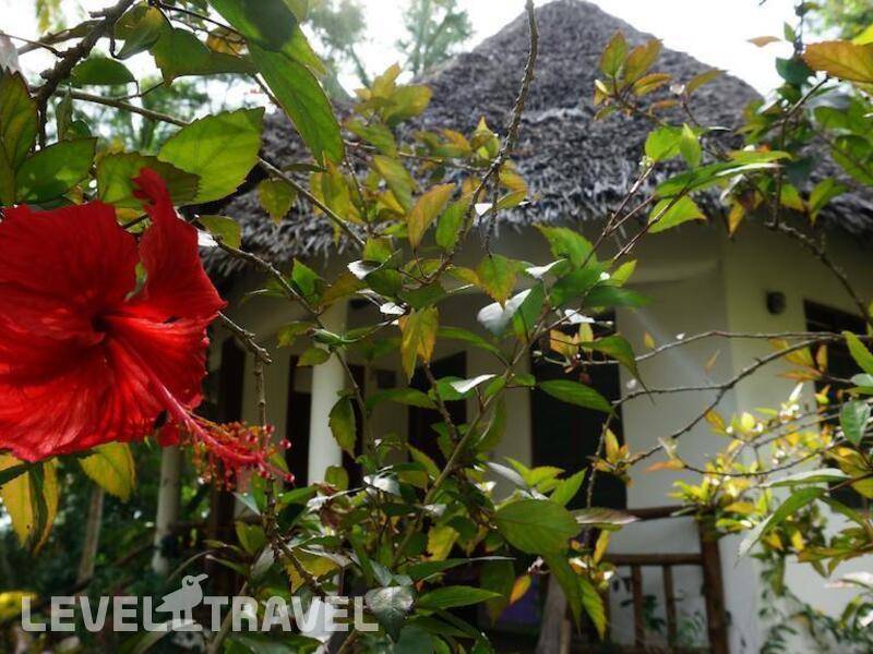 Фотография Mangrove Lodge