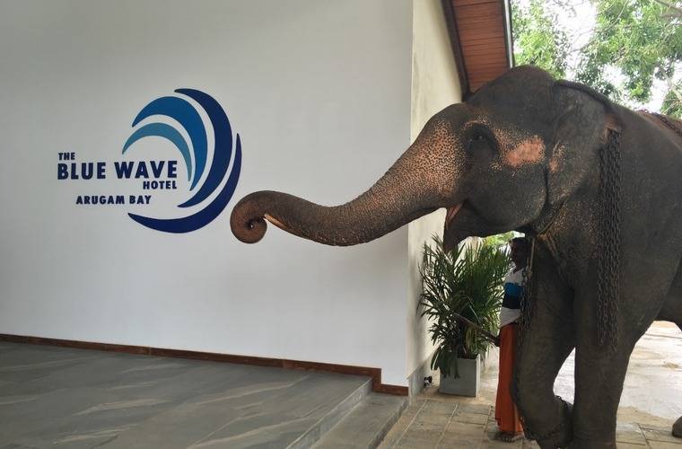 The Blue Wave Hotel